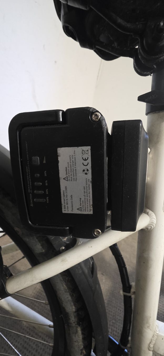 Biciclette: ZENITH Velo – Difettoso da Solothurn venduto da mar_8qf8 5