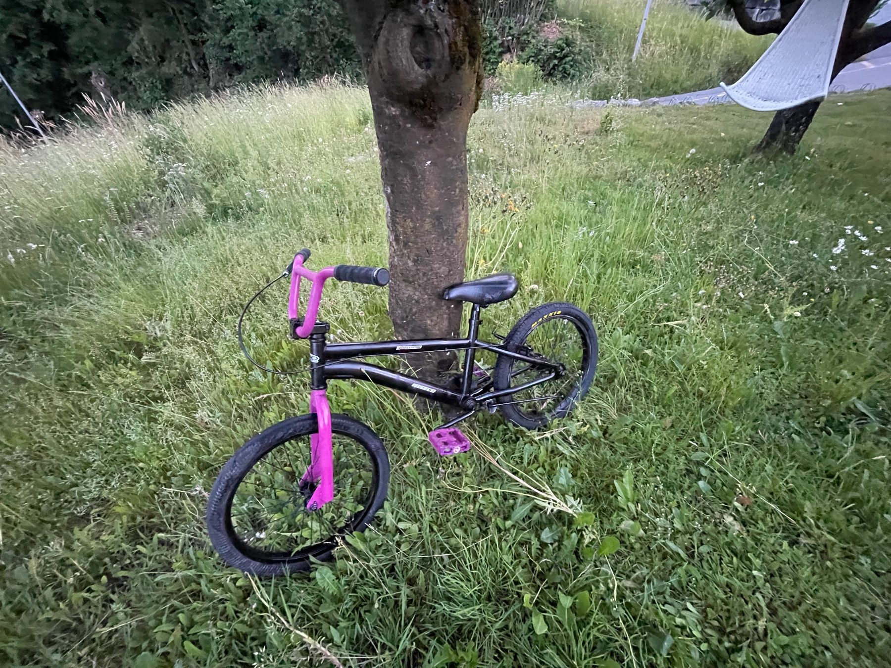 Biciclette: BMX Velo, Schwarz mit Pink – Usato da Kleinwangen venduto da cwy_2l5p 1