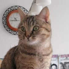 Profile image of lena.2007