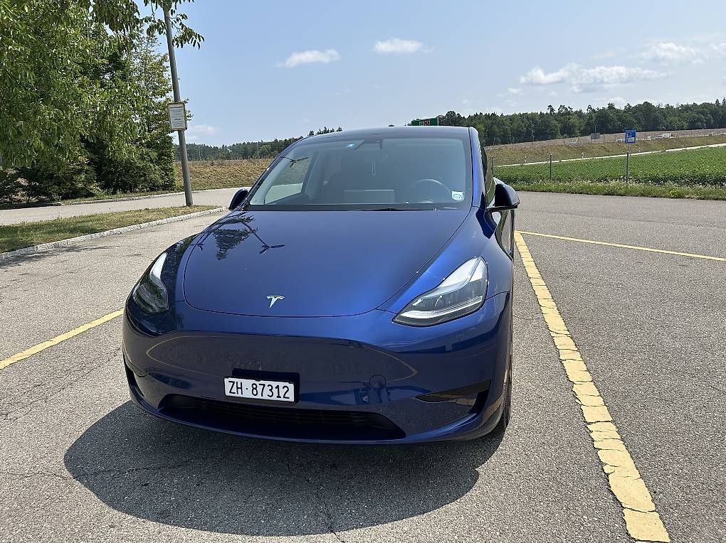 Tesla Automobili: Tesla Model Y, LFP – Usato da Thalheim venduto da St.Meister 2