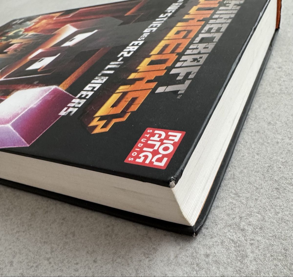 Libri: Minecraft Dungeons: Der Aufstieg des Erz-Illagers Buch – Usato da Altstätten / SG venduto da heikoyzf 3