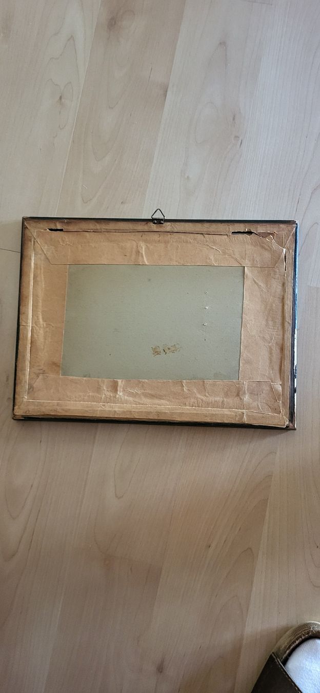 Dipinti: Appenzeller Bild – Usato da Degersheim venduto da Sonnenbiene55 3