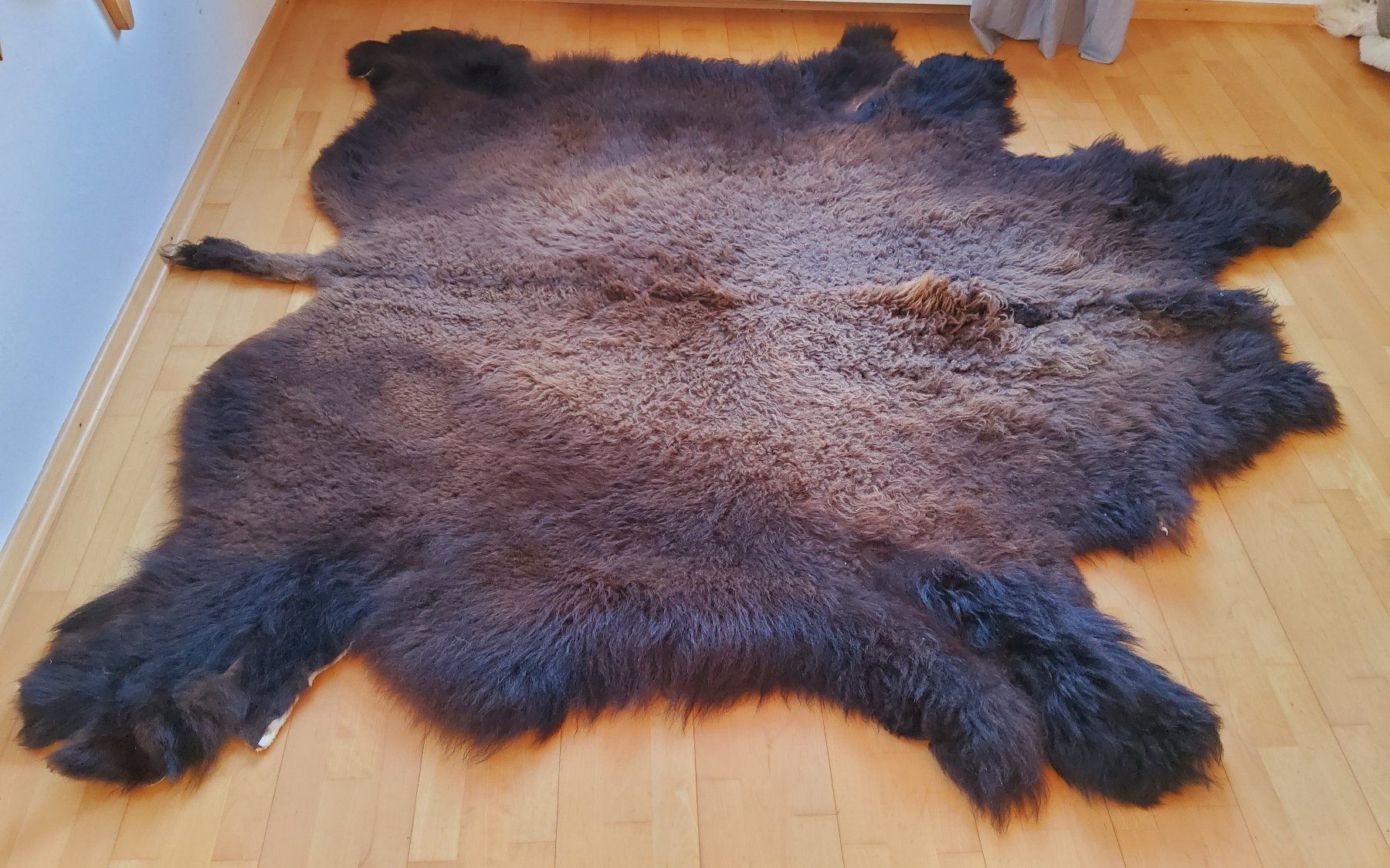 Il mondo degli animali: Bisonfell (Echt) – Nuovo (secondo la descrizione) da Ruggell venduto da Tim-Werk 6