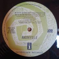 Akinyele – Ak Ha Ha! Ak Hoo Hoo? 12" US VG++