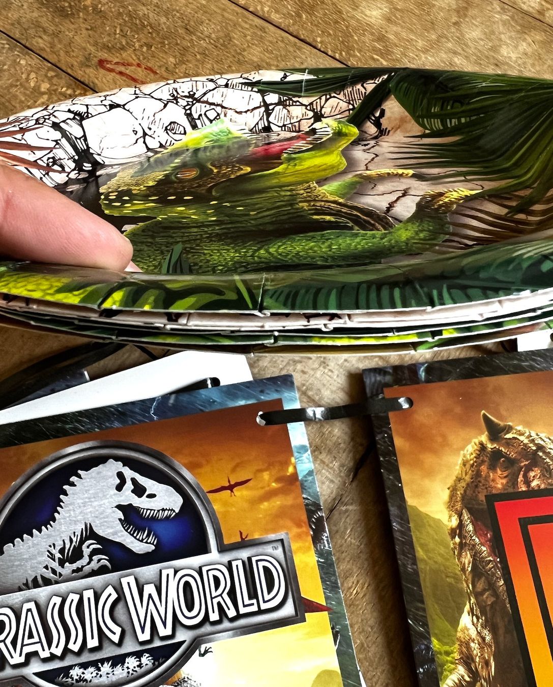 Tutte le decorazioni: Geburtstag Set, Jurassic Park, Happy Birthday Girlande – Usato da Zürich venduto da meggimay 1