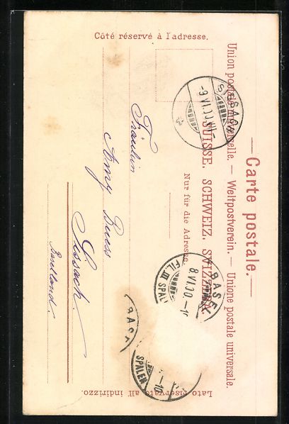 Cartoline postali: Litho Basel, Baslerin in Tracht, Mohnblu – Usato da Berlin venduto da bartko-reher 1