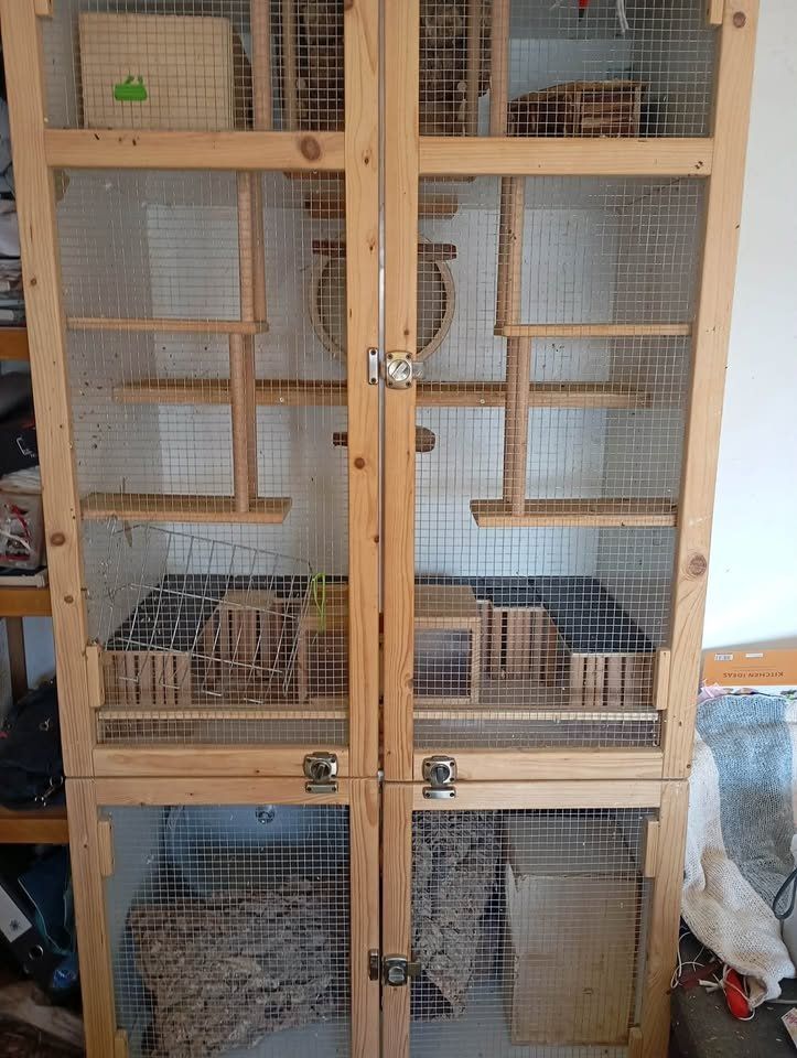 Gabbie, trasporto & Sicurezza: Chinchilla Degus Käfig – Usato da Mönchaltorf venduto da engel3333
