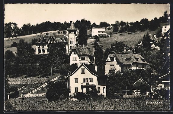Cartoline postali: AK Erlenbach, Teilansicht mit Villen – Usato da Berlin venduto da bartko-reher
