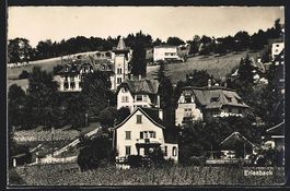 AK Erlenbach, Teilansicht mit Villen