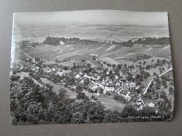 OSTERFINGEN - WEINBAUGEBIET - REBEN - WINZER