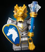 Lego minifiguren série Dungeons et dragons 71047