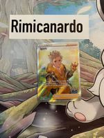 SWSH226 Promo Trainer Spark Pokemon go EN FULLART