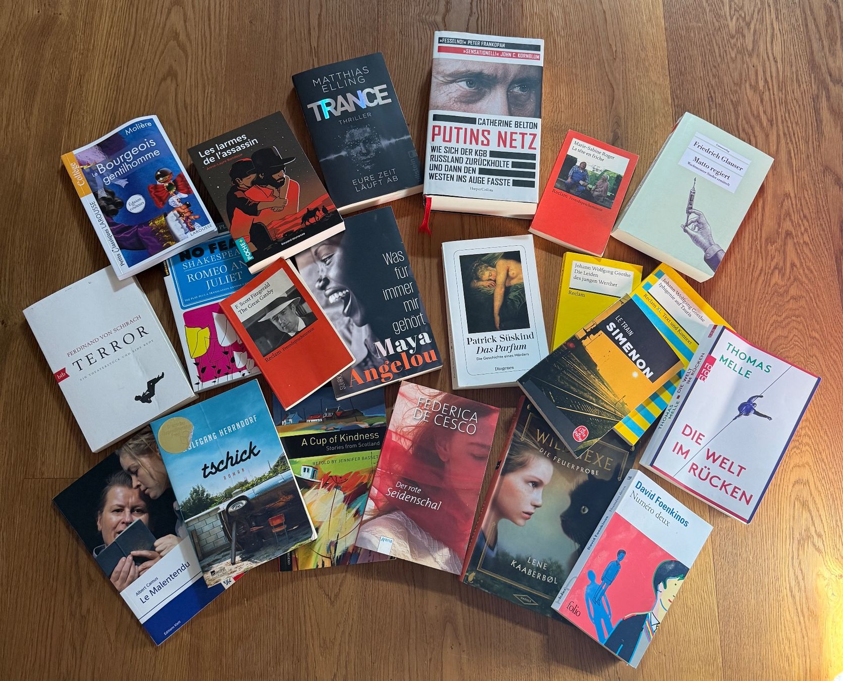 Libri: Viele verschiedene Bücher – Usato da Spiegel b. Bern venduto da Kyra_112233