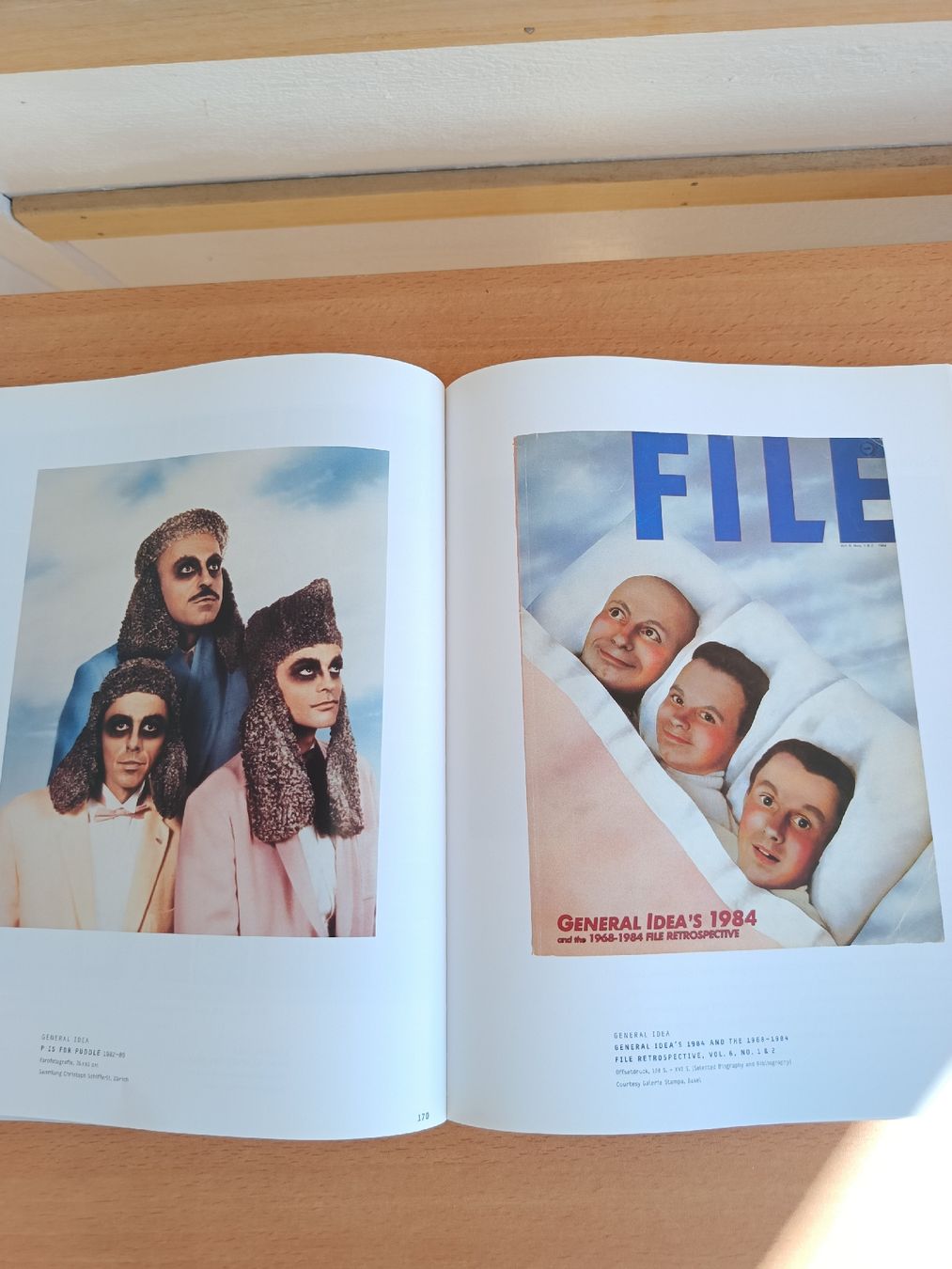 Livres: The Missing Link Fotoband Kunstmuseum Bern – D'occasion à Steffisburg par zulg03 7