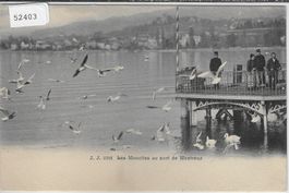 Les Mouettes au port de Montreux - animee