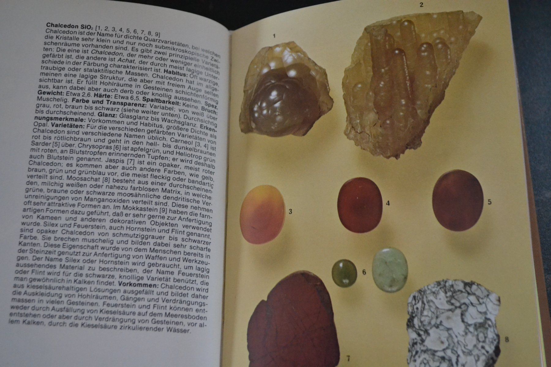 Libri: DER Kosmos Steinführer – Usato da Beinwil am See venduto da kajak55 3
