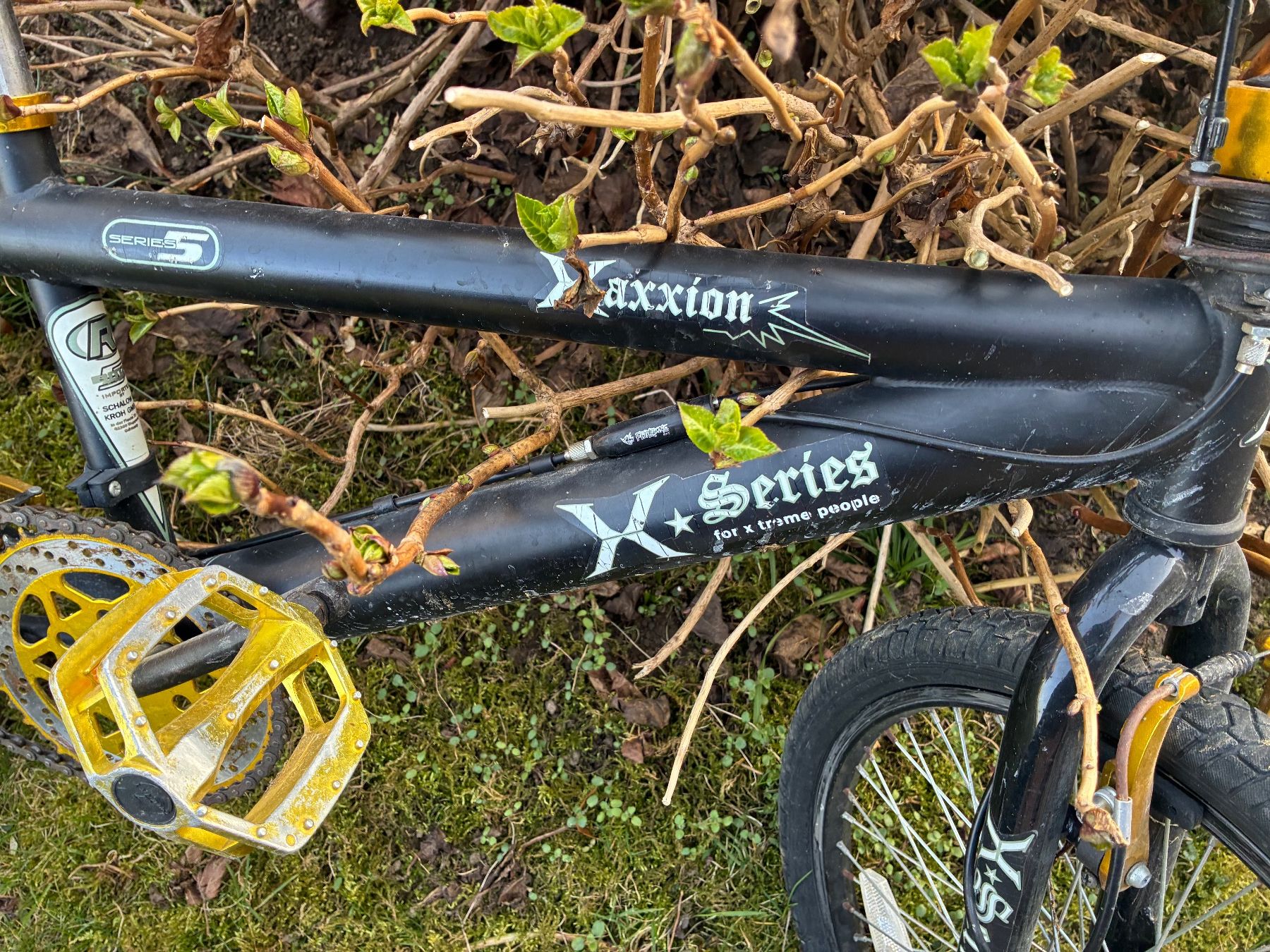 Biciclette: BMX Fahrrad – Usato da Mamishaus venduto da Eferdinand 1