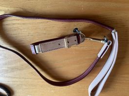 Hundeleine und Halsband