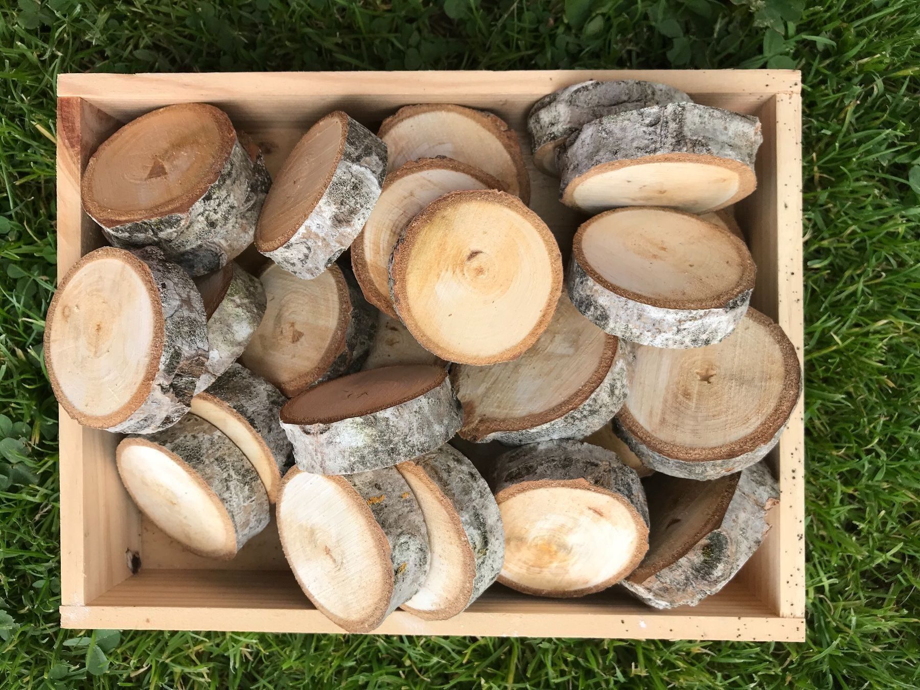 Articles en bois: Holzscheiben – Neuf avec emballage d'origine à Buttwil par mina010 1