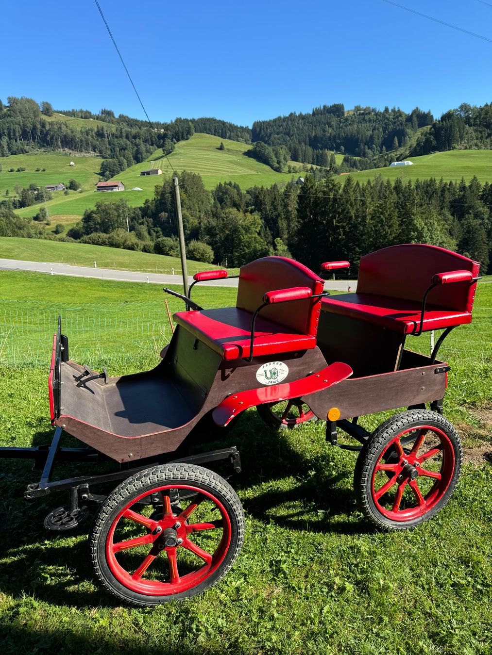 Calèches: Elegante Sawa Kutsche (ein- oder zweispannig) – D'occasion à Bühler par Kobima
