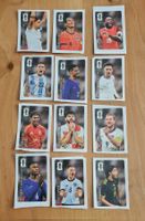 Alle 12 Cola Panini WM 2026