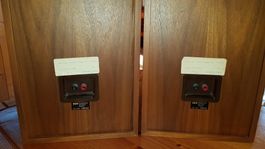 2 haut parleurs en bois, en parfait état