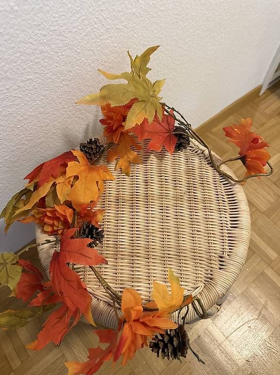 Toutes les décorations: Herbsdeko Set / Mix – D'occasion à Winterthur par fij_f65r 2