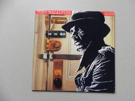 LP USA Heavy Metal Gitarrist Tony MacAlpine 1987 Maximum ...