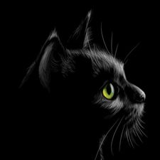 Profile image of SchwarzeKatze
