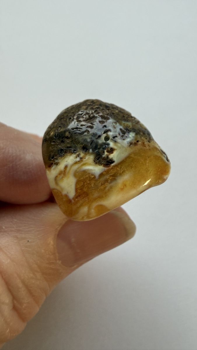 Anelli: Silberring, zweifarbige Bernstein, regulierbar – Nuovo e nell'imballaggio originale da Ebikon venduto da Leonidas2 6