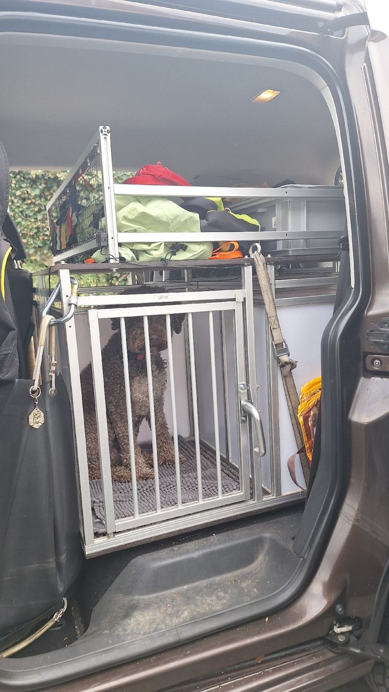 Gabbie, trasporto & Sicurezza: Hunde Transportbox – Usato da Flüeli-Ranft venduto da rolisfahr 2