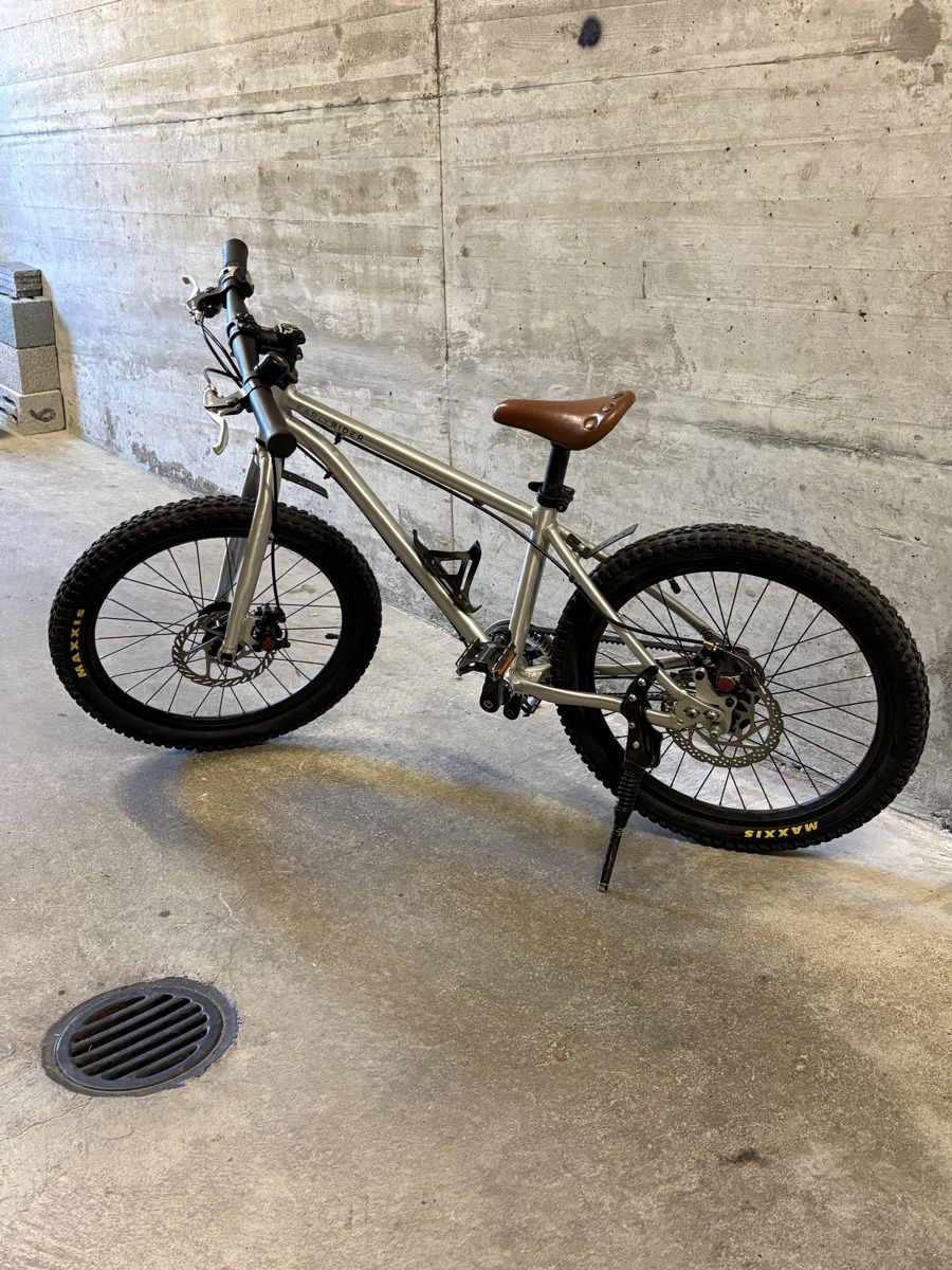 Early Rider Velos: Early Rider 20 Zoll  – Gebraucht aus Zürich von cmon.aleks 3