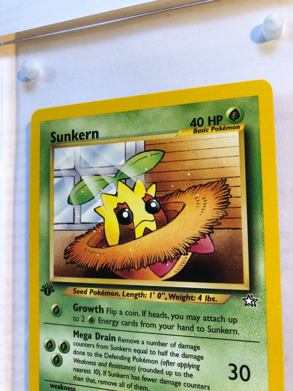 Sammelbilder & Trading cards: Sunkern 1st Neo Genesis - NM - ab 1.- – Gebraucht aus Giubiasco von dan_pr8b 3