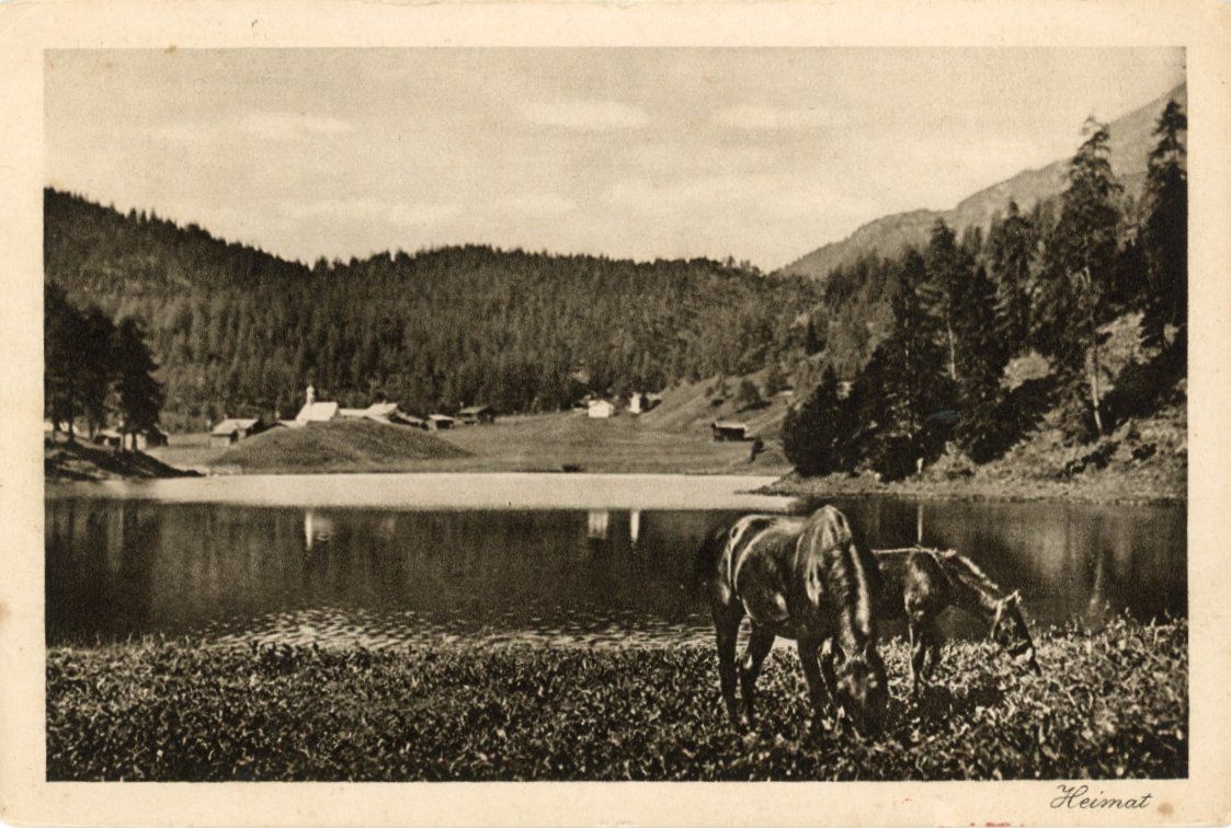 Ansichtskarten: Laret   GR  -    Pferde beim SCHWARZSEE – Gebraucht aus Brig von Valcards54
