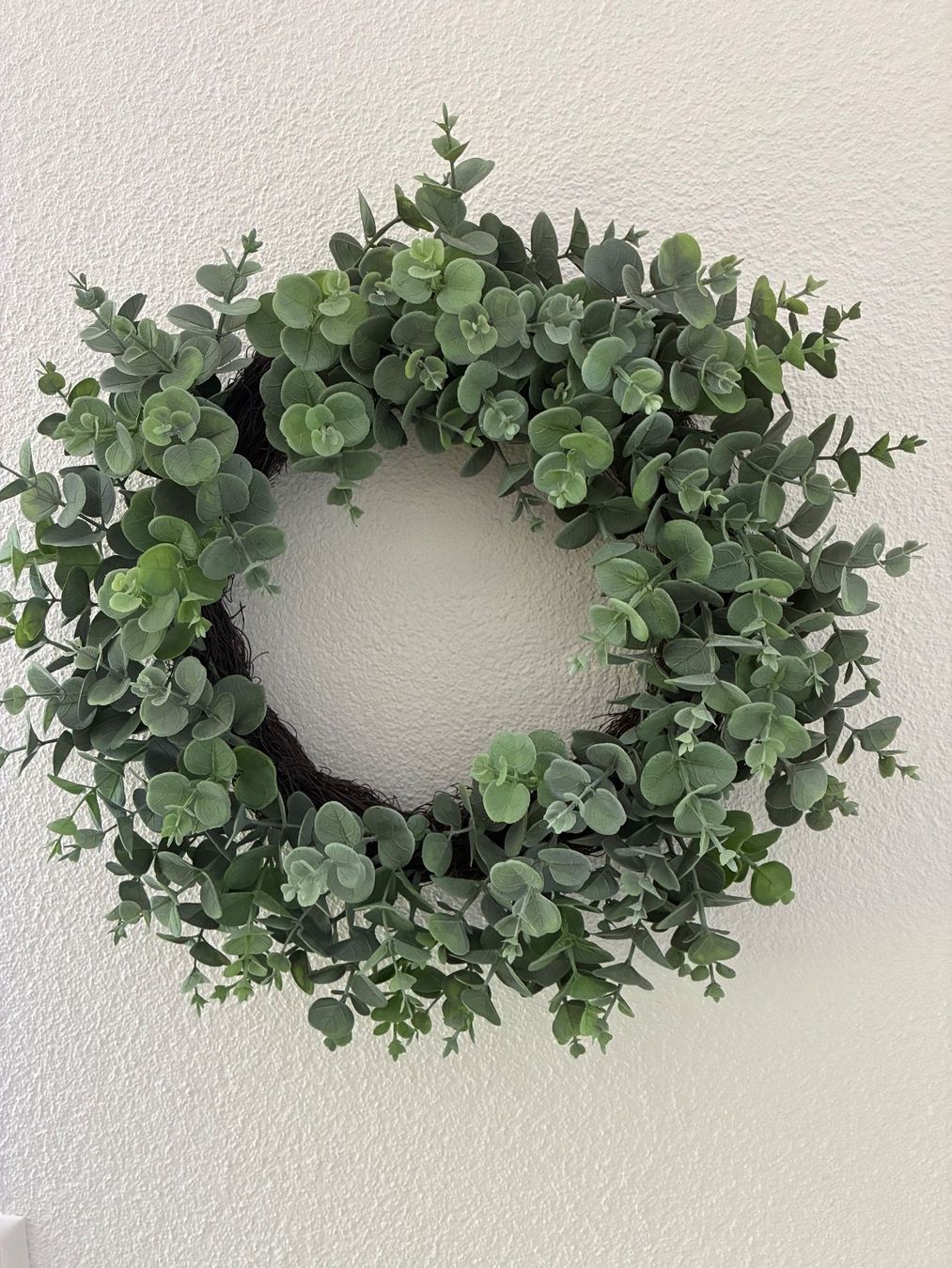 Tutte le decorazioni: Eucalyptus- Kranz künstlich 50cm – Usato da Frick venduto da sandra037