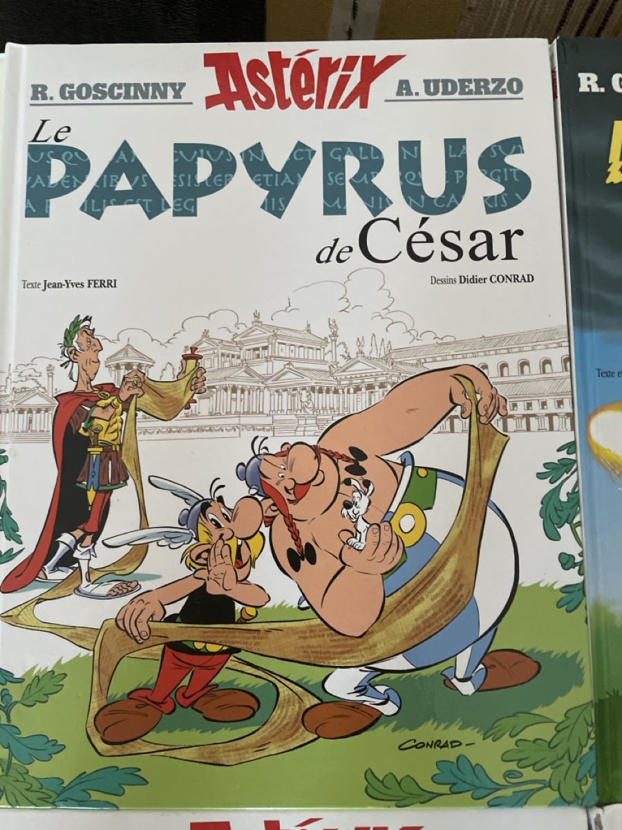 Fumetti: 5 bandes dessinées Astérix – Nuovo (secondo la descrizione) da Dübendorf venduto da fel_cxq9