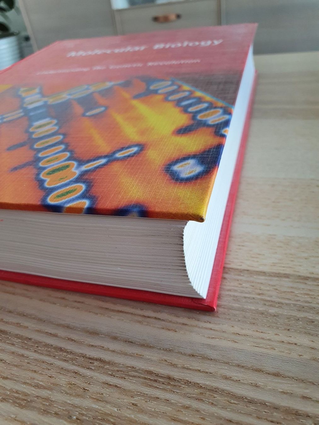 Libri: Molecular Biology - D.P. Clark – Usato da Thun venduto da Zuzi84 3