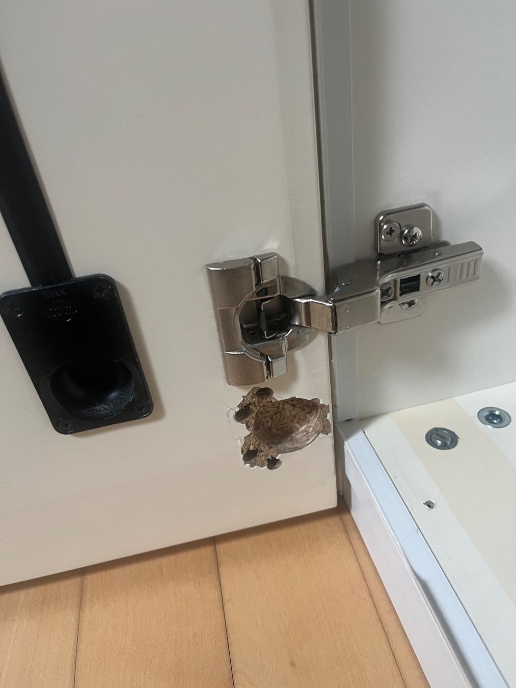 Armadi: Grosser Kleiderschrank – Usato da Embrach venduto da Camponovos 5