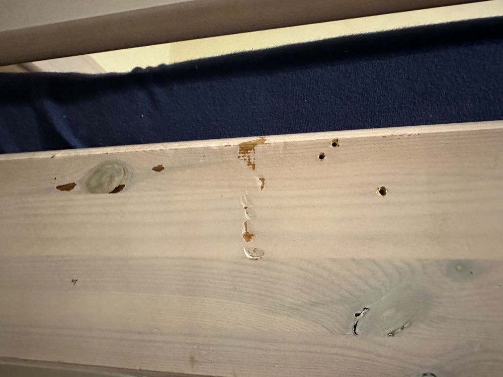 FLEXA classic Hochbett / Bett inkl. Erhöhung (Gebraucht) in Winterthur ...