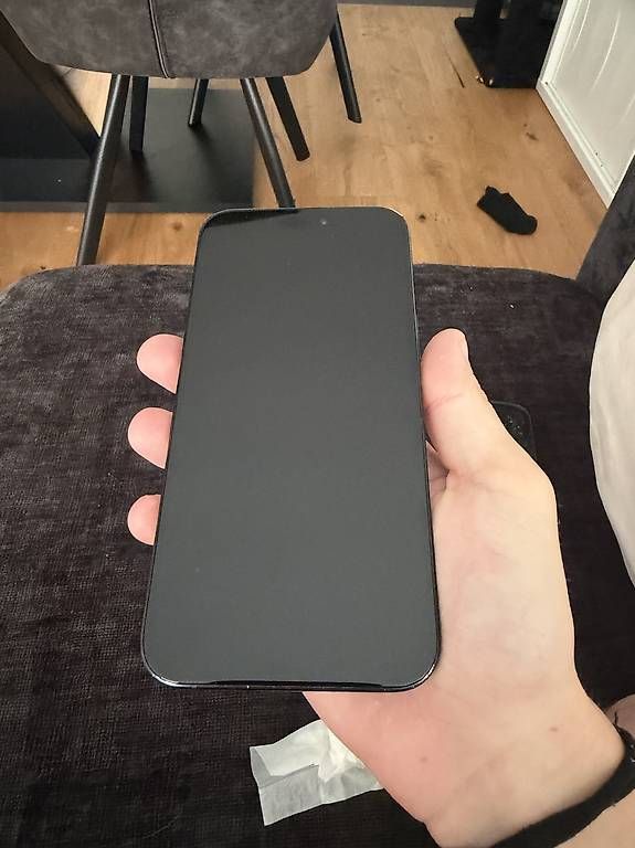Portables: Iphone 15pro Max 256GB – D'occasion à Roggwil BE par oli_7y8v 2
