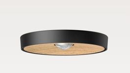 Ribag Kivo Pendelleuchte Ø270mm schwarz/eiche