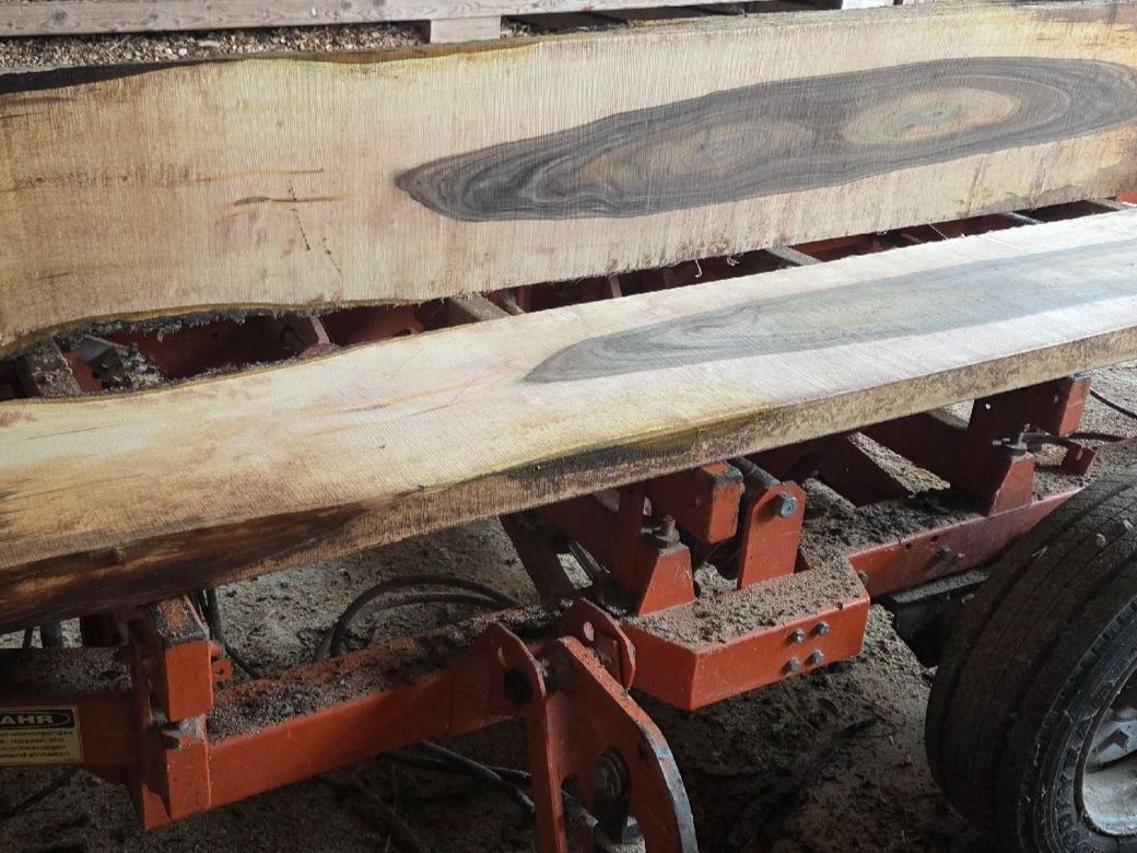 Articoli in legno: Nussbaum, Stamm, Bretter – Nuovo (secondo la descrizione) da Aettenschwil venduto da Betrieb87 4