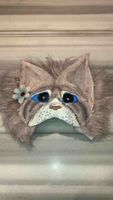 Maske Katze grau mit Blüte und Pircings