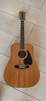 Ibanez 12 Seiter Akustikgitarre mit Tasche (Made in Japan)