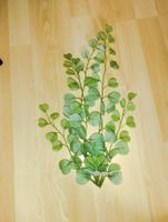 Künstlicher Eukalyptus Zweig, nie benutzt, Top Zustand