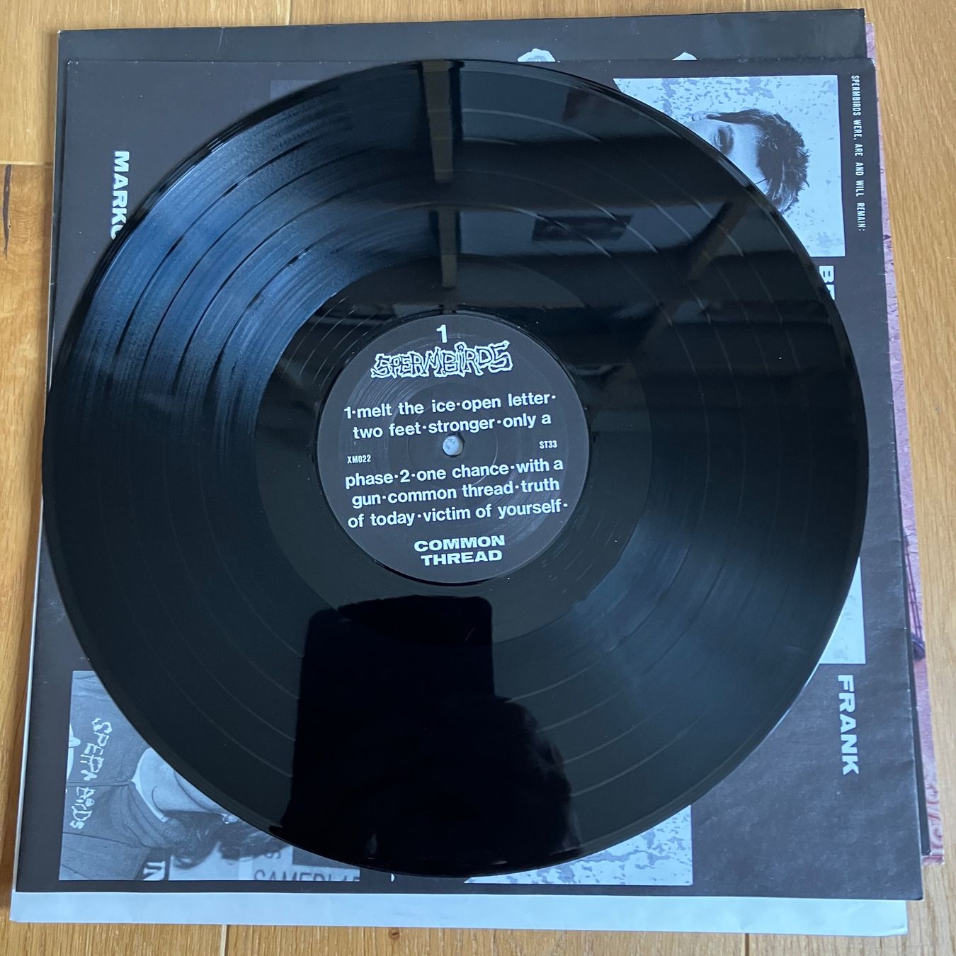 Schallplatten: Spermbirds – Common Thread – Gebraucht aus Altdorf UR von Metallic0 1