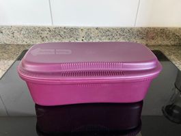 Neuer Tupperware Pasta Meister Pastakocher