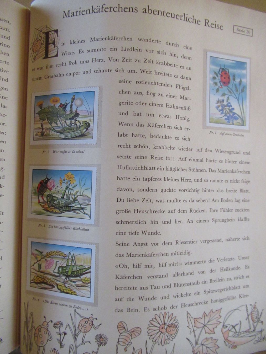 Libri: 24 NEUE TIERMÄRCHEN - NOSTALGIE PUR! – Usato da Moosseedorf venduto da haro01 7