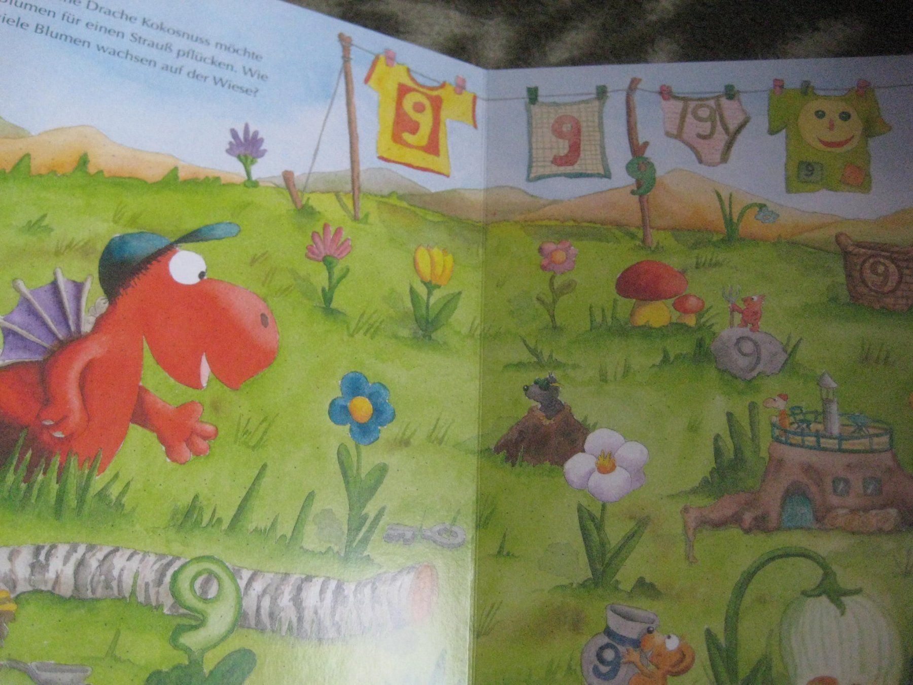 Libri: DER KLEINE DRACHE  KOKOSNUSS – Usato da Uster venduto da flocke1 2
