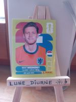 Carte Panini 2026 Wout Weghorst NED19